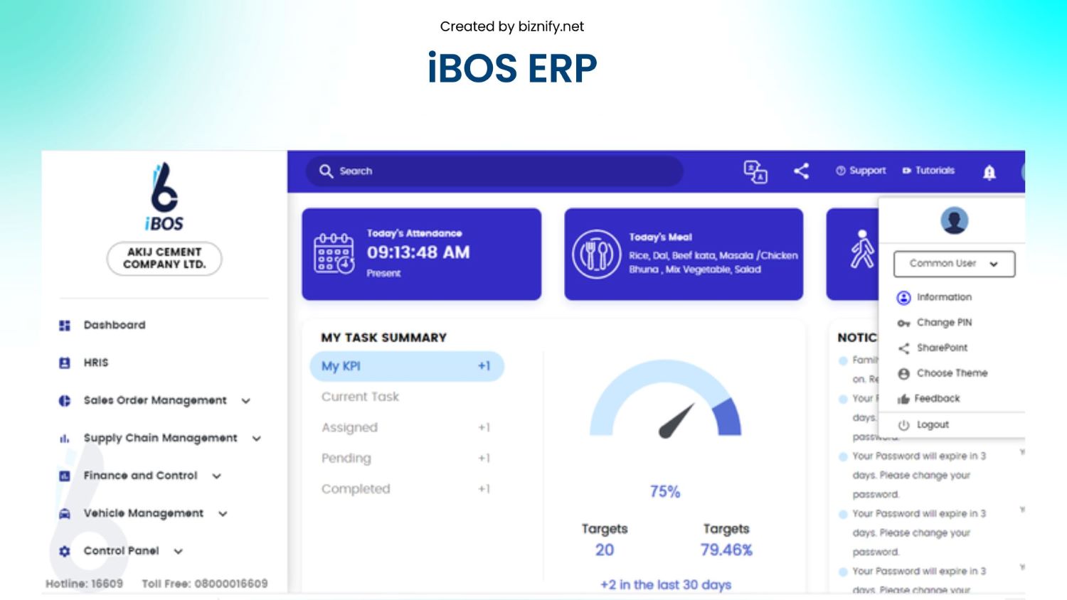 blogs erp ibos erp