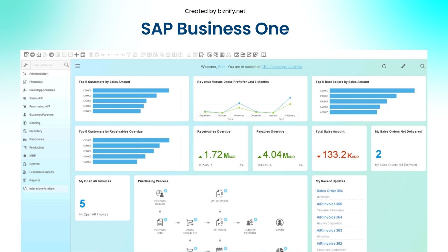 blogs erp sap business one